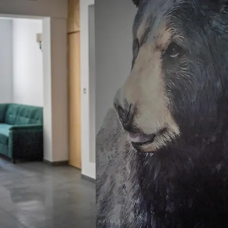 Bella Monte 슈차이르크