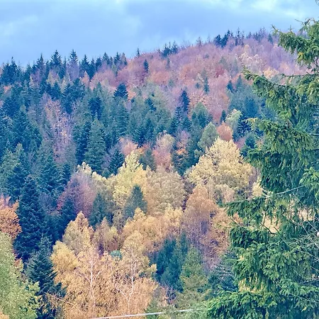 Bella Monte 4*